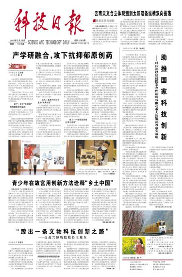 强乱强乱中文字幕