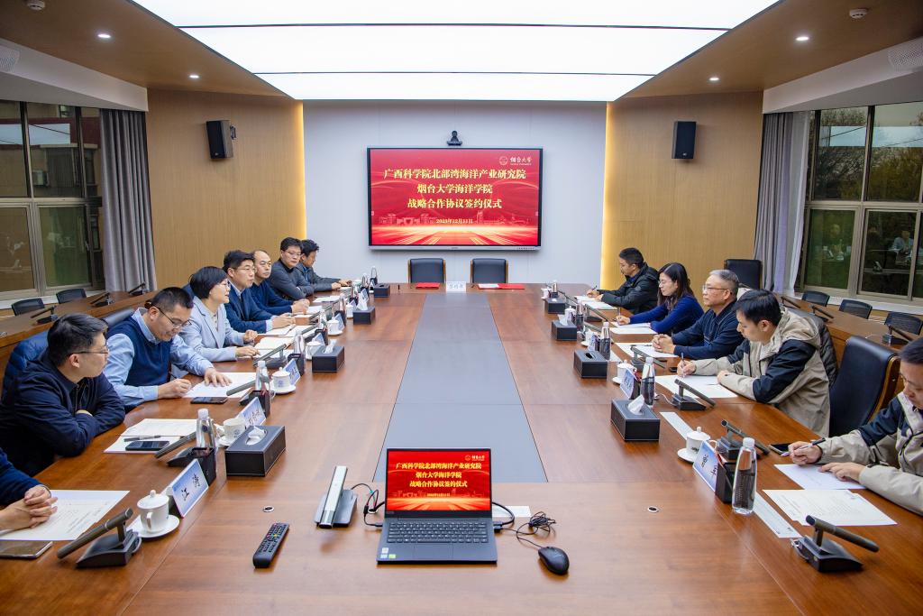 强乱强乱中文字幕