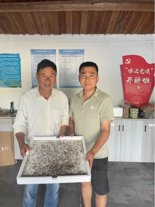 强乱强乱中文字幕