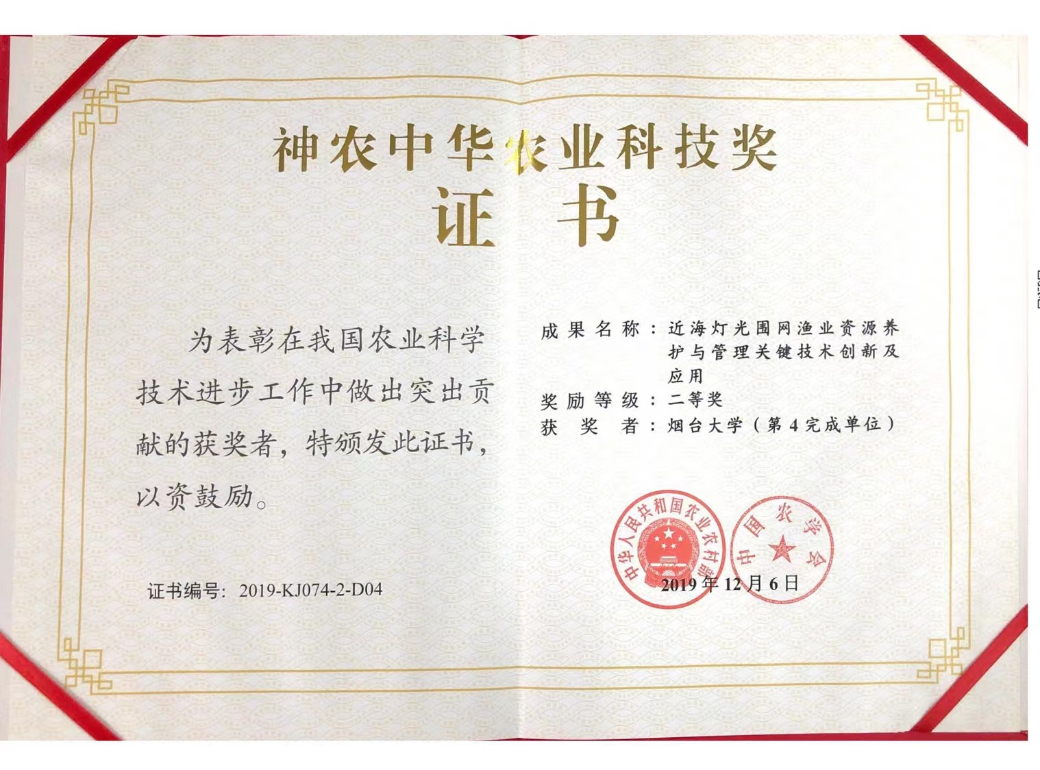 强乱强乱中文字幕