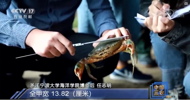 强乱强乱中文字幕