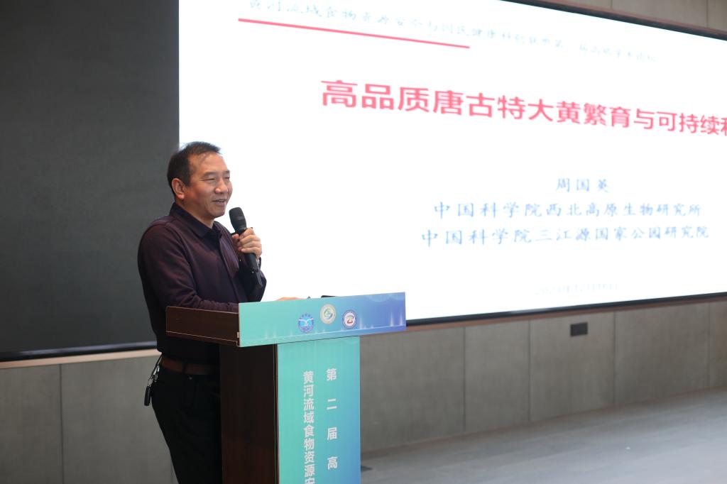 强乱强乱中文字幕