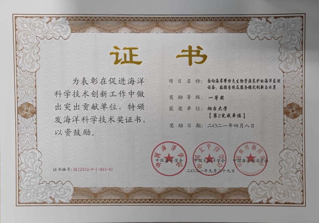 强乱强乱中文字幕