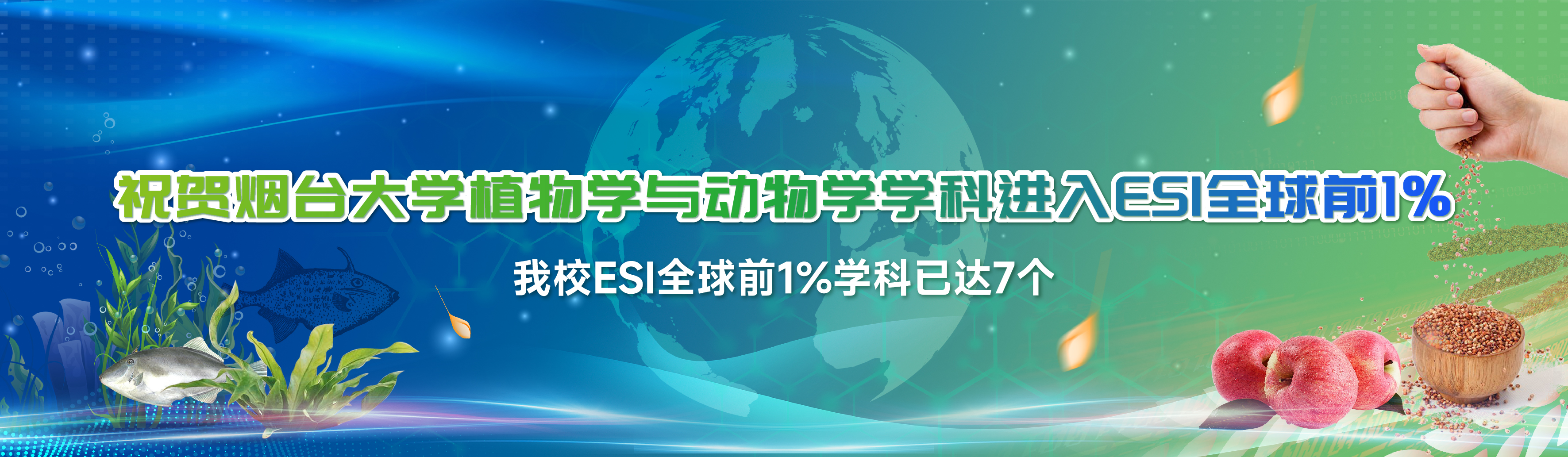 强乱强乱中文字幕