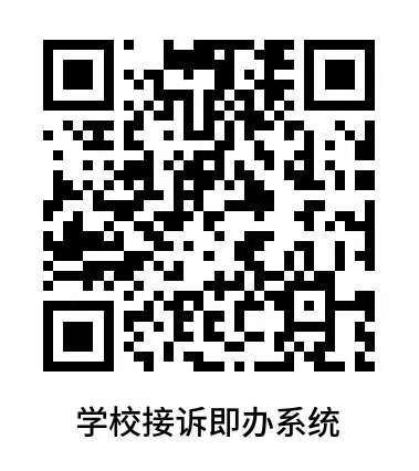强乱强乱中文字幕