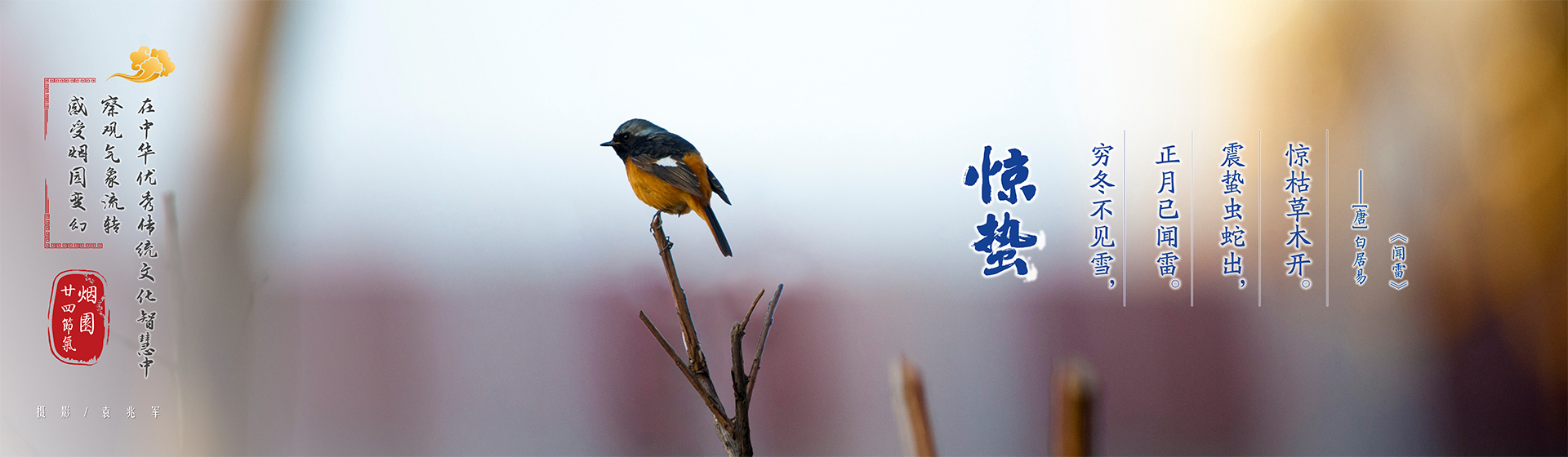 强乱强乱中文字幕